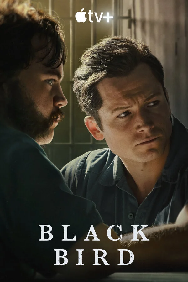 Чёрная птица - постер